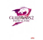 Guild Wars 2 Path of Fire
