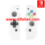 Nintendo Switch Joy Con Body Shell Replacement and D Pad – Putih